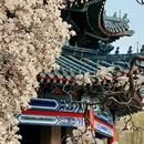 北京旅游 缩略图 2