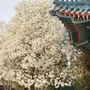 北京旅游 缩略图 1