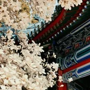 北京旅游 缩略图 4