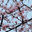 北京旅游 缩略图 12