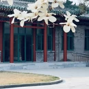 北京旅游 缩略图 13