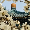 北京旅游 缩略图 11