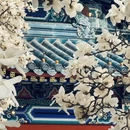 北京旅游 缩略图 15