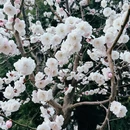 北京旅游 缩略图 17