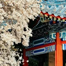 北京旅游 缩略图 6