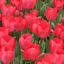 武汉旅游 缩略图 7