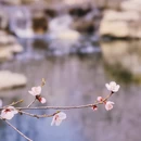 北京旅游 缩略图 3