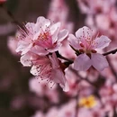 北京旅游 缩略图 5