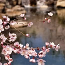 北京旅游 缩略图 4