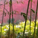 北京旅游 缩略图 8