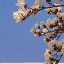 北京旅游 缩略图 6