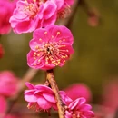 北京旅游 缩略图 12