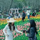 武汉旅游 缩略图 16