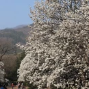 北京旅游 缩略图 1
