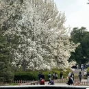 北京旅游 缩略图 7