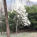 北京旅游 缩略图 13