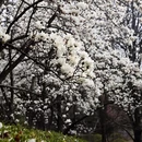 北京旅游 缩略图 16
