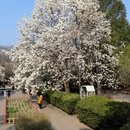 北京旅游 缩略图 12