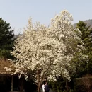 北京旅游 缩略图 14