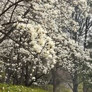 北京旅游 缩略图 18