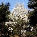北京旅游 缩略图 9