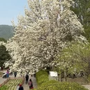 北京旅游 缩略图 17