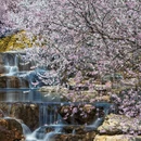 北京旅游 缩略图 3