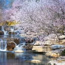 北京旅游 缩略图 7