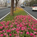 北京旅游 缩略图 1