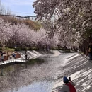 北京旅游 缩略图 1