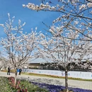 北京旅游 缩略图 2
