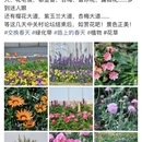 北京旅游 缩略图 7