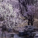 北京旅游 缩略图 11