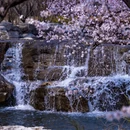 北京旅游 缩略图 8
