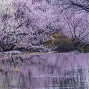 北京旅游 缩略图 13