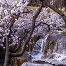 北京旅游 缩略图 9