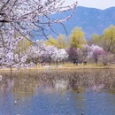 北京旅游 缩略图 4