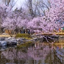 北京旅游 缩略图 10