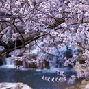 北京旅游 缩略图 7