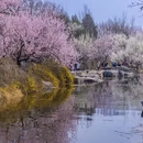 北京旅游 缩略图 14