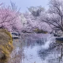 北京旅游 缩略图 12