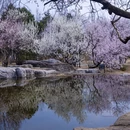北京旅游 缩略图 15