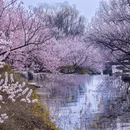 北京旅游 缩略图 16