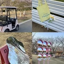 宁波旅游 缩略图 6
