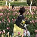 宁波旅游 缩略图 16