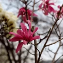 北京旅游 缩略图 3