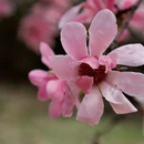 北京旅游 缩略图 10