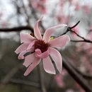 北京旅游 缩略图 7