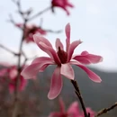 北京旅游 缩略图 17