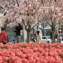 北京旅游 缩略图 1
